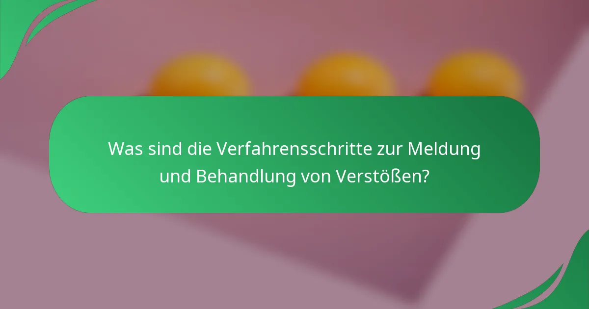 Was sind die Verfahrensschritte zur Meldung und Behandlung von Verstößen?