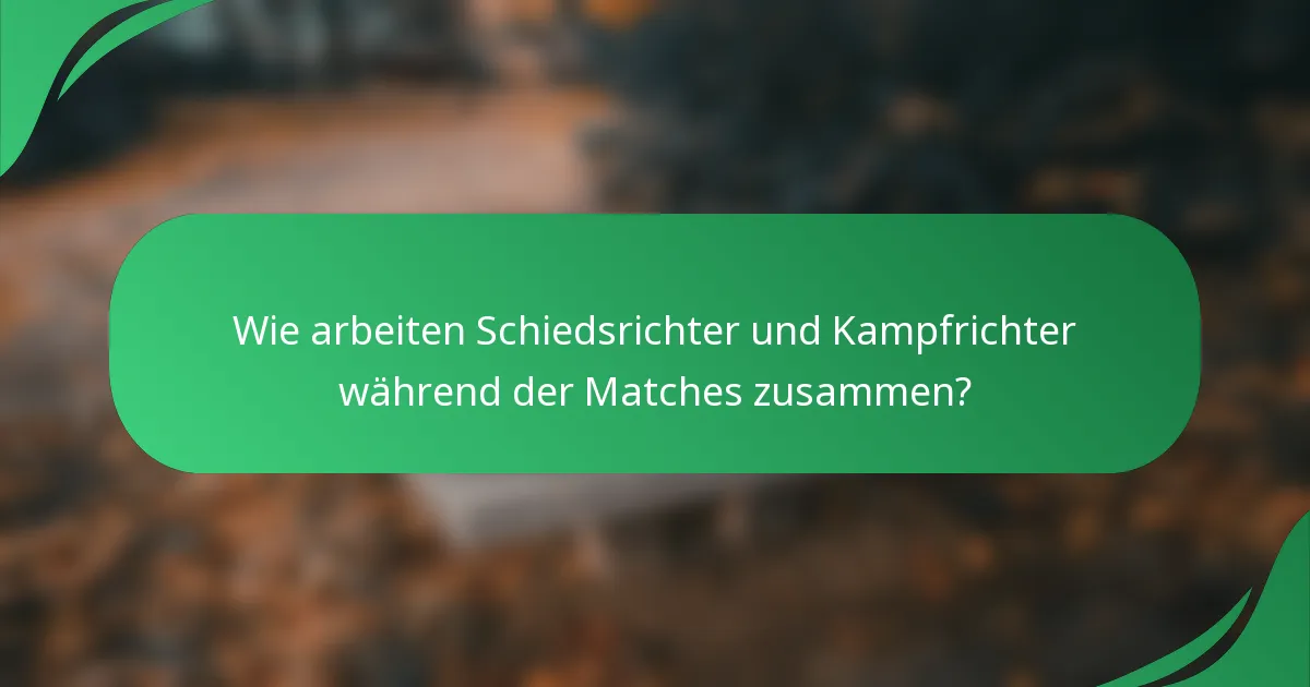 Wie arbeiten Schiedsrichter und Kampfrichter während der Matches zusammen?